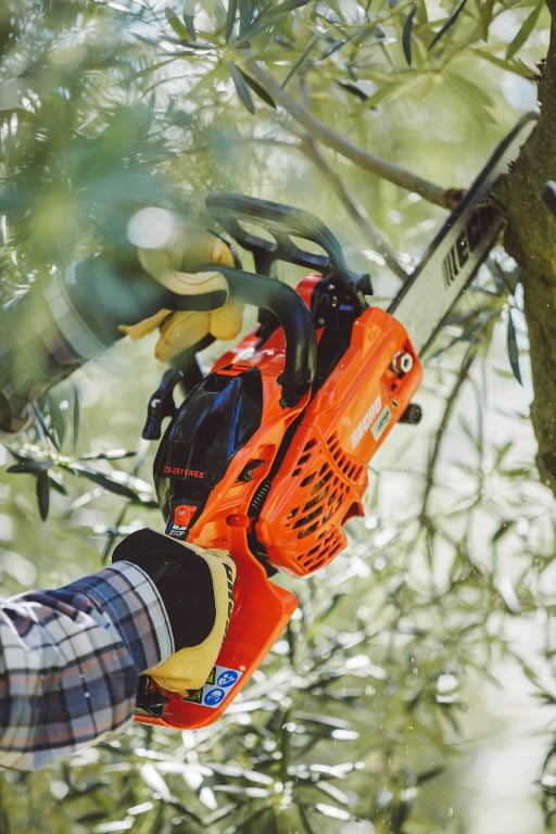 Motosega multiuso CS-2511WES 25.0 CC 2.6 KG CARVING | Cirocco Garden